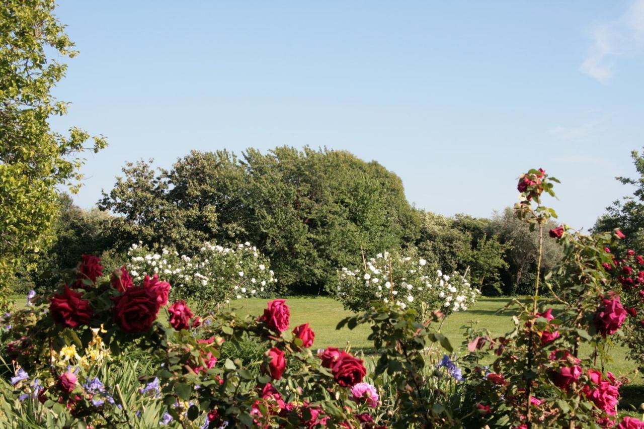 Pietrasanta - Versilia - Villa Arzilla Garden Con Piscina Tonfano Buitenkant foto