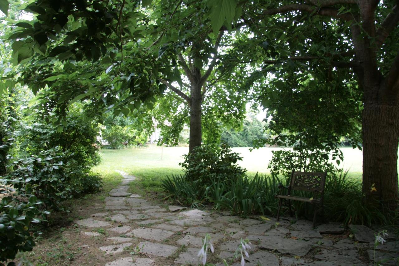 Pietrasanta - Versilia - Villa Arzilla Garden Con Piscina Tonfano Buitenkant foto