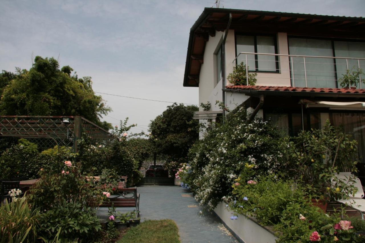 Pietrasanta - Versilia - Villa Arzilla Garden Con Piscina Tonfano Buitenkant foto